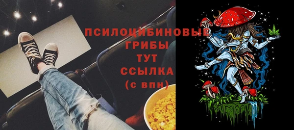 молекула духа Кукмор