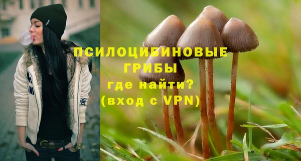 гидропоника Куйбышев