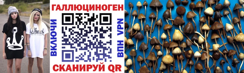 Галлюциногенные грибы Cubensis  Купить  Асбест 